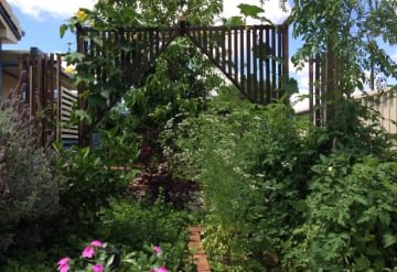 Front driveway garden