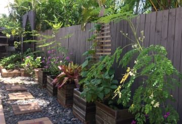 back yard
